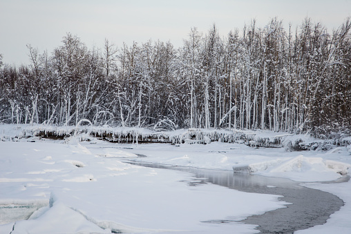 Upper reaches of the Indigirka River in winter