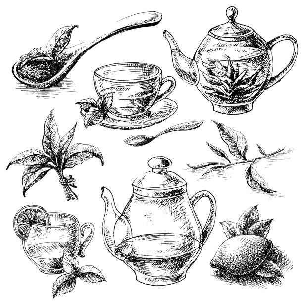 tea collection elements tea collection elements in graphic style, hand-drawn vector illustration. tea bag cup stock illustrations