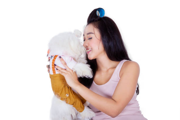 istock Beautiful woman holding dog on the studio 660655250
