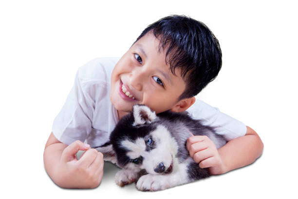 istock Cheerful boy embracing husky puppy on studio 660655908