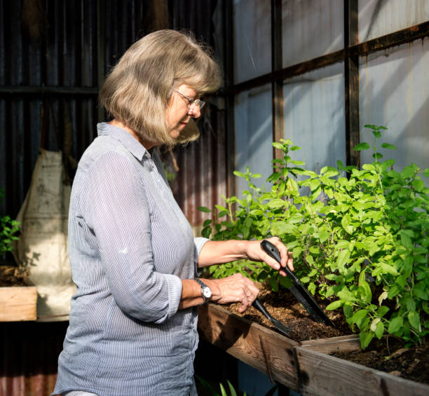 istock Mature Pottery Green Nature Gardening 660660696