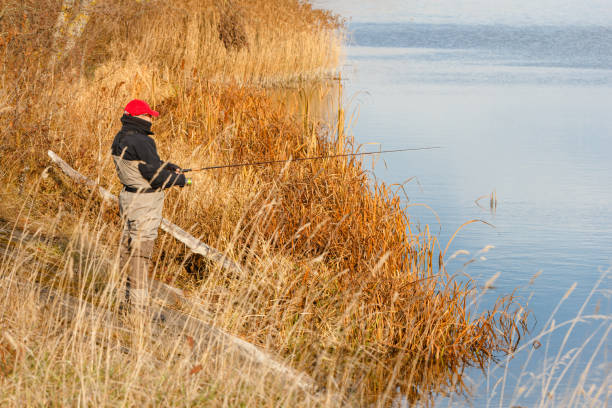 istock Fisherman catch a pike in the river 660667172
