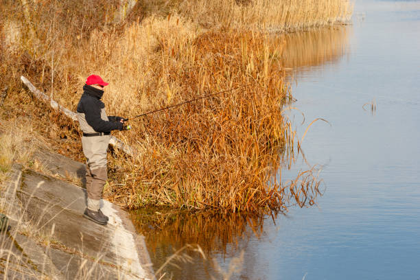 istock Fisherman catch a pike in the river 660667234
