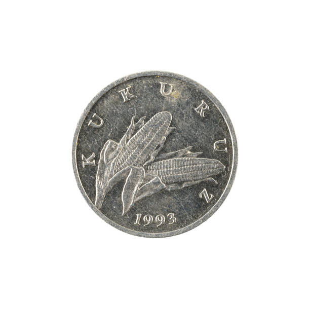 istock 1 croatian lipa coin (1993) reverse isolated on white background 660678496