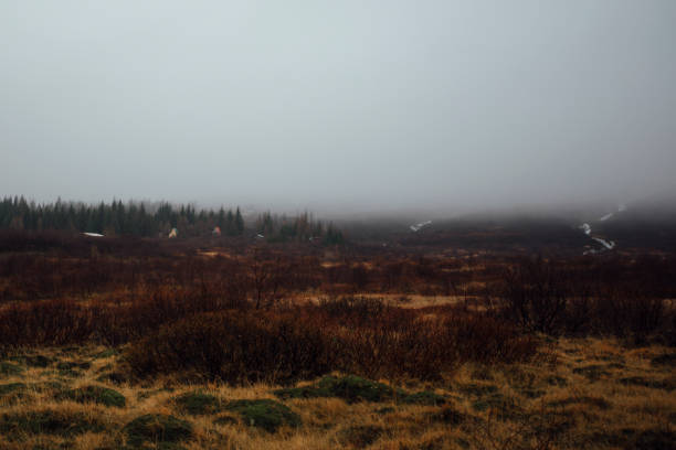 Landschaftsaufnahme aus Island