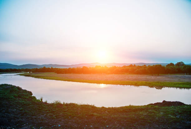 Landscape with meadow and ditch in summer