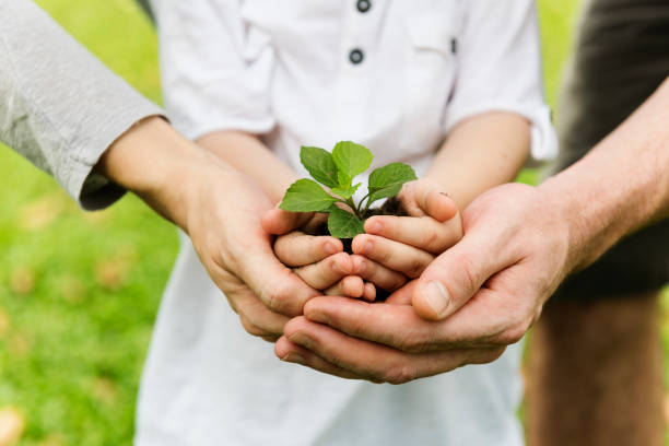 istock Kid Gardening Greenery Growing Leisure 660682166