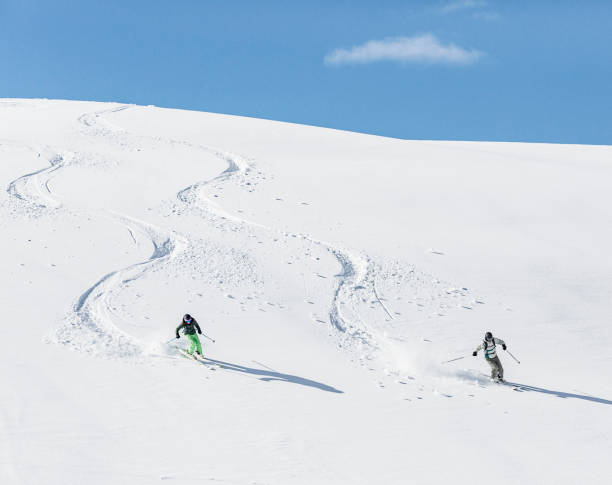 눈에 스키 - powder snow ski ski track track 뉴스 사진 이미지