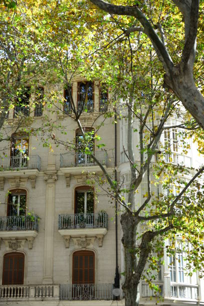 istock Hausfassden / City views Palma de Mallorca - Spain 660685442