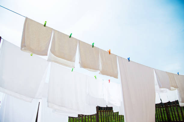 istock White sheets and towels hanging on clotheslines 660688348