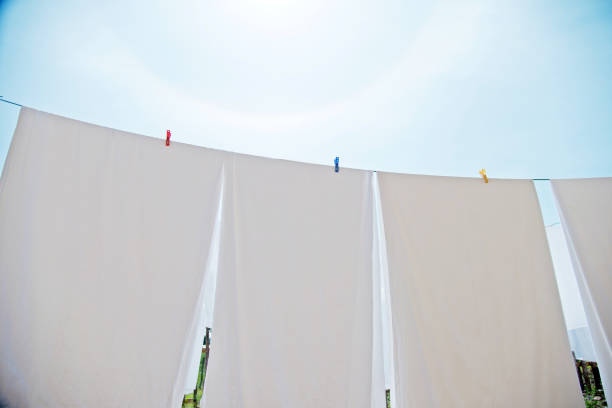 istock White sheets and towels hanging on clotheslines 660688566