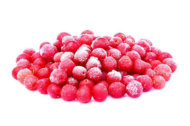 istock Frozen red sea-buckthorn berries isolated. 660688764