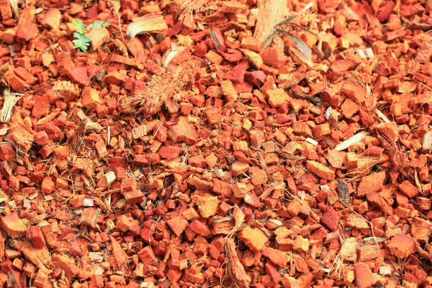 istock natural fertilizer fiber, selective focus on coconut spathe texture background. 660689950