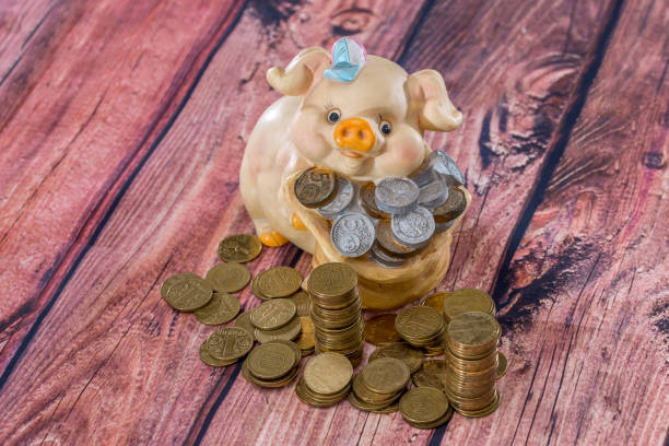 istock Piggy bank with gold coins. saving concept. 660710546