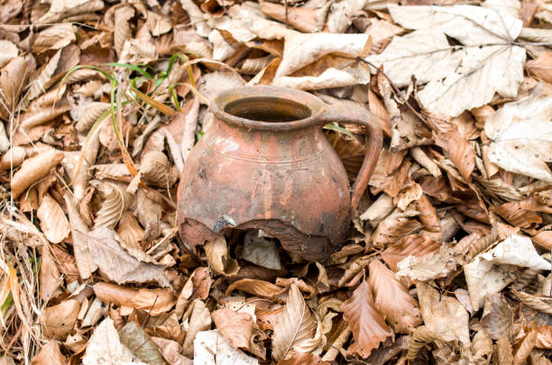 istock Old broken jar in dry autumn leaves 660715940