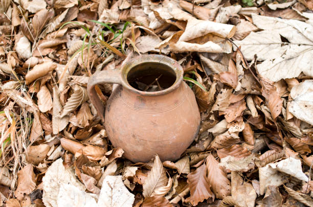 istock Old broken jar in dry autumn leaves 660718572