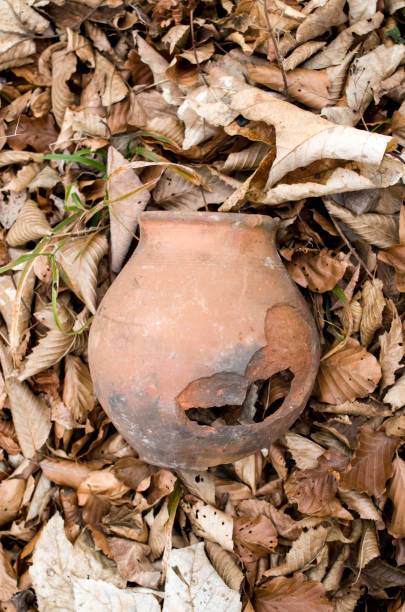 istock Old broken jar in dry autumn leaves 660718876