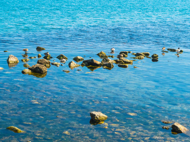 istock Pure blue water and stones in the sea 660725766