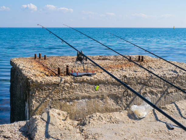 istock Fishing rods on the beach in the morning 660725792