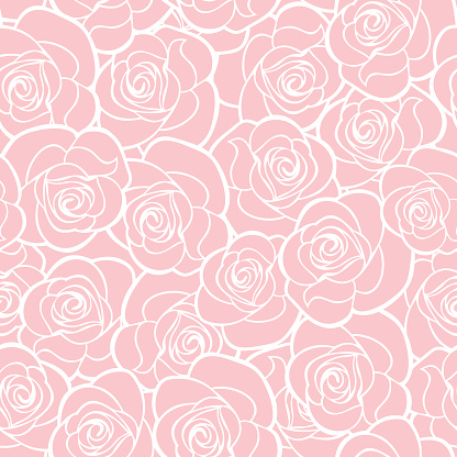 Vector seamless pattern with white roses contours on pink.