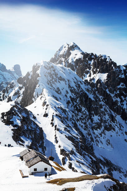istock Beautiful Landscape with Snowy Mountains. Blue Sky. Alps, Austria. 660734752