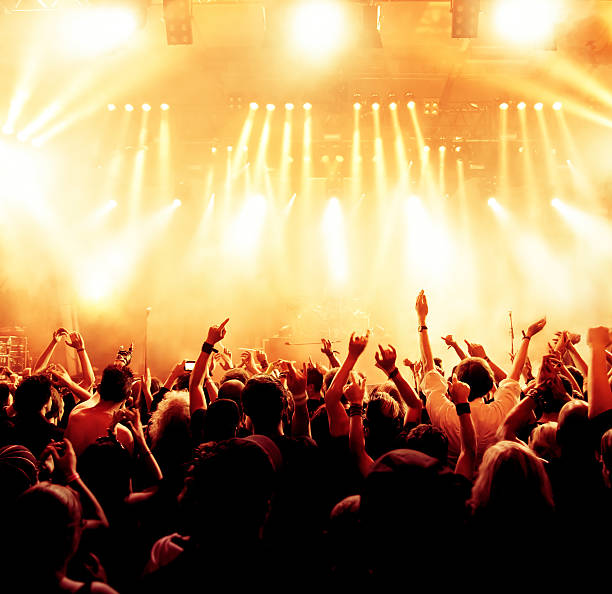 istock Crowd Enjoying At Music Concert At Night 660749489