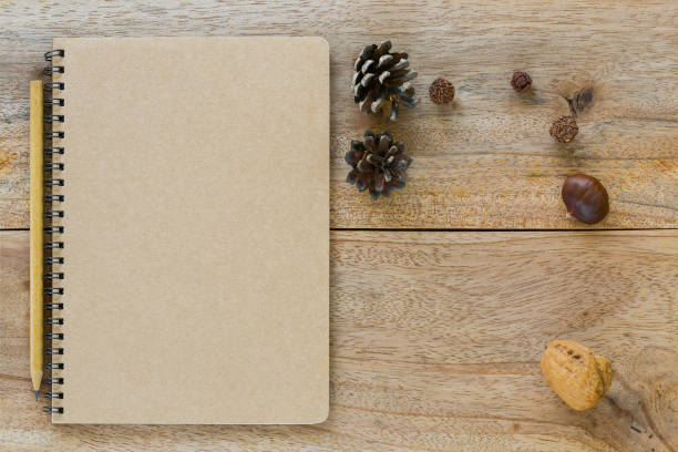 istock Brown blank notebook with wooden pencil near dried pine cone chestnut walnut 660751068