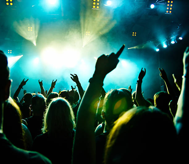 istock Crowd Enjoying At Music Concert At Night 660753579