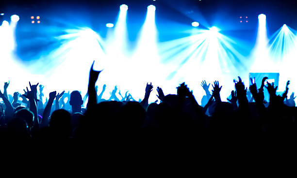 istock Crowd Enjoying At Music Concert At Night 660758583