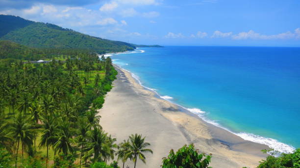 beautiful deserted rural and lush lombok beach pantai nipah with crystal blue waters and coconut trees - kuta bildbanksfoton och bilder