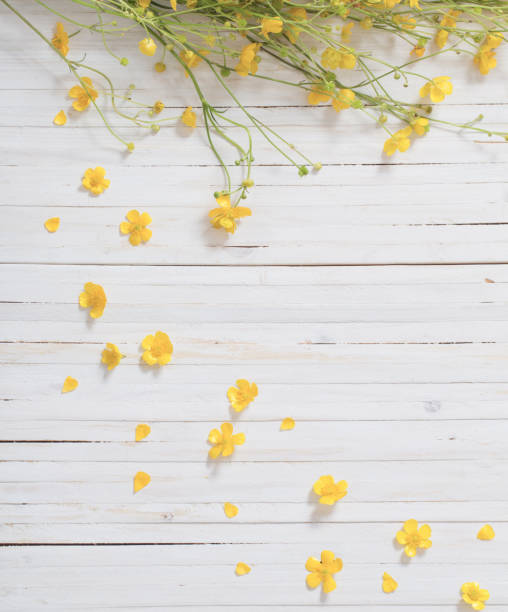 istock yellow flowers on wooden background 660764556