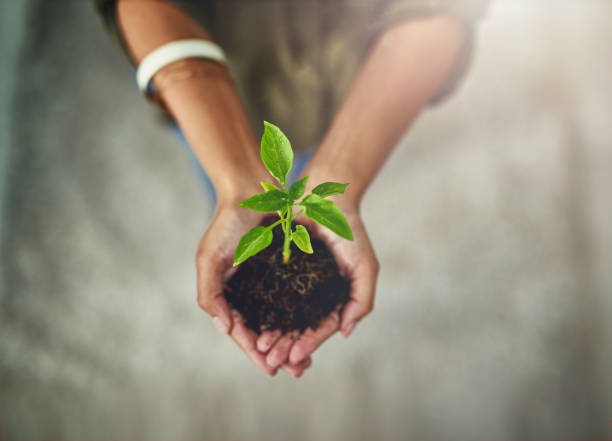 istock Handle your business with care and caution 660768776