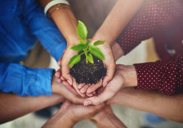 Success means helping each other grow High angle shot of a group of businesspeople holding a plant growing in soil environmentalist stock pictures, royalty-free photos & images
