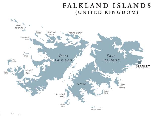 Falkland Islands political map Falkland Islands political map with capital Stanley. British overseas territory. Archipelago in South Atlantic Ocean on Patagonian Shelf. Gray illustration. White background. English labeling. Vector. falkland islands stock illustrations