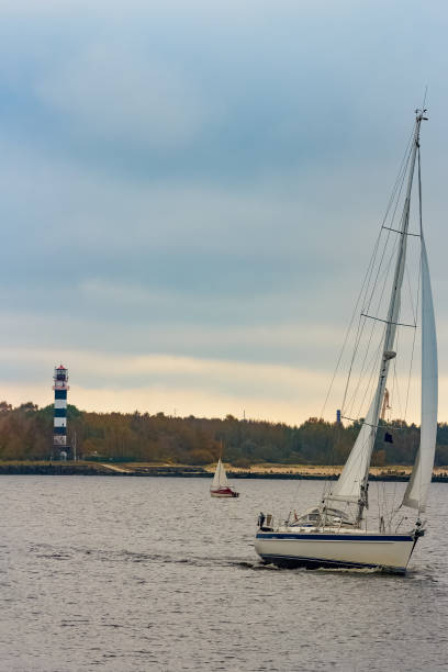 istock White sailboat traveling 660772028