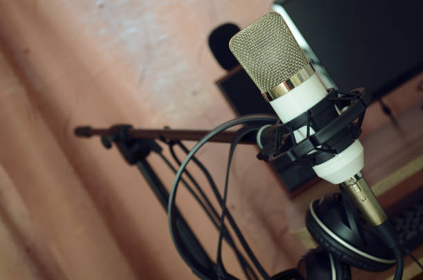 istock Microphone and headphones for voice recording 660772450
