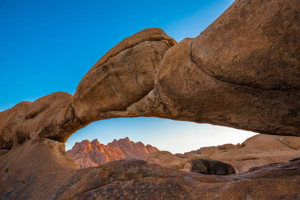 istock Spitzkoppe, unique rock formation in Damaraland, Namibia 660775716