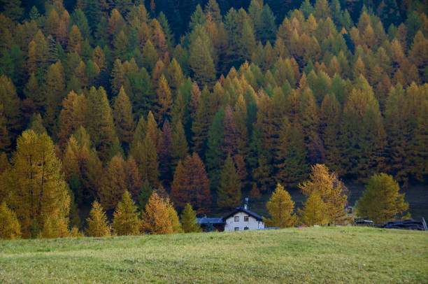 istock Autumn in the Mountains - Autumn 660791786