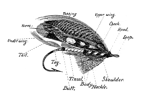 Antique hobbies and sports illustration: Salmon bait fly