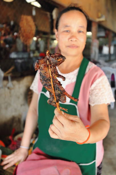 Woman selling fried rats. Pak Nam Noy-Phongsali province-Laos. 3633 Pak Nam Noy, Laos-October 8, 2015: Local woman sells to passing-by drivers grilled rats on bamboo skewers in a road restaurant at the 1A-2E-H13 roads junction beside the bridge over the Nam Phak river sandbanks ontario stock pictures, royalty-free photos & images