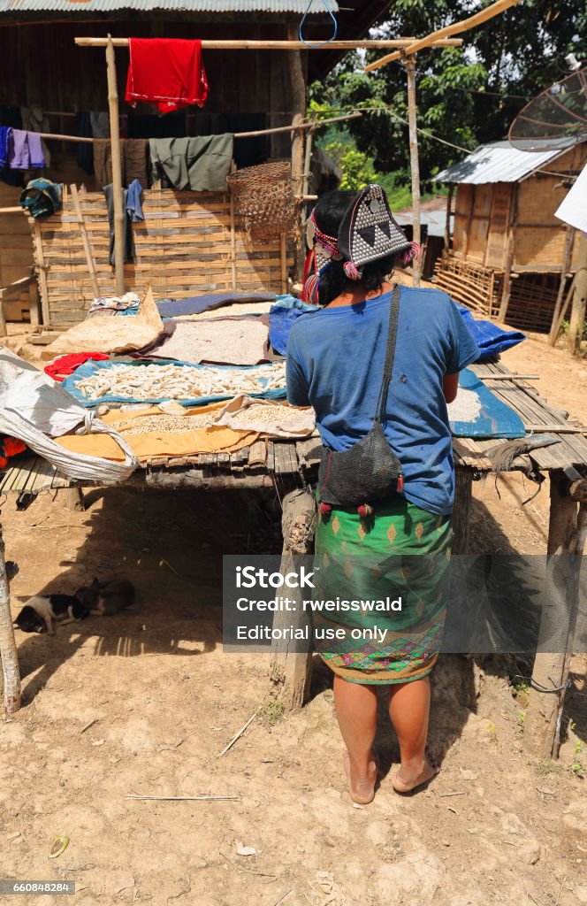 Woman drying food. Akha Ya-Er hill tribe. BanHouayPhod-Phongsali province-Laos. 3728 Ban Houay Phod, Laos-October 8, 2015: The Akha Ya-Er hill tribe are an ethnic minority living in the area between E.Myanmar-N.Thailand-W.Laos-S.China. Woman setting food on trays to dry under the sun. Drying Stock Photo