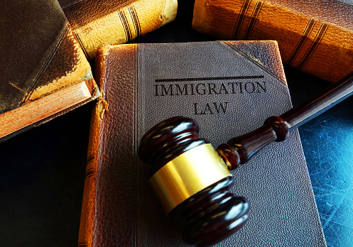 Immigration Law book with court gavel