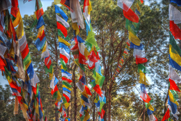 istock colorful waving prayer flags 660872336