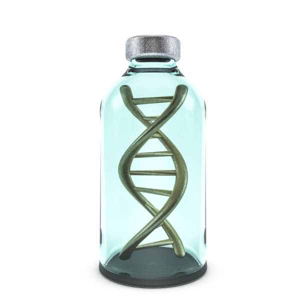 istock Standard of fragment of human DNA. 3D rendering 660877362