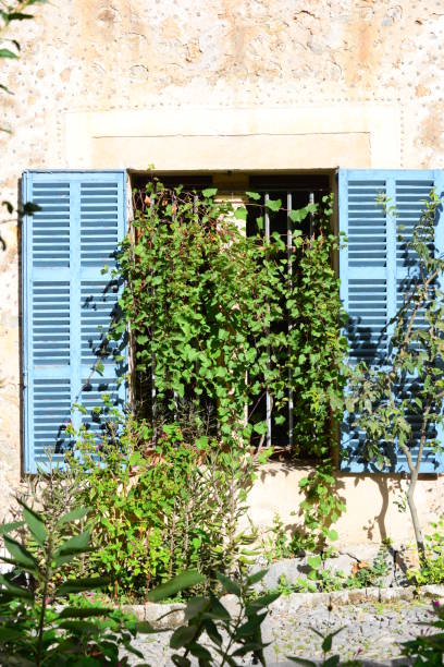 istock House facades / city views in Mallorca - Spain 660912942