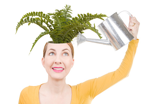 A conceptual image of a woman watering a plant that is growing from inside her head.