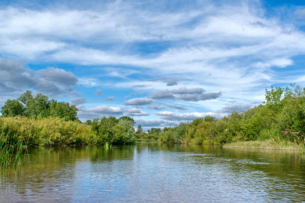 istock Riverbank overgrown with bushes, sky with clouds and reflection in water. 660931310