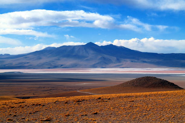 panorama der laguna colorada - laguna colorada stock-fotos und bilder