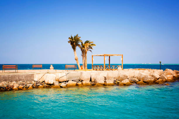 istock View of a pier with palm trees 660952656
