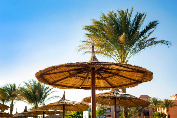 istock Sunshades in the blue sky background 660963156